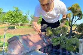 90后小伙花半年时间用模型还原老庭院，不少网友直呼身临其境图片