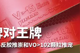 国家队使用款颗粒胶和日本畅销款反胶图片