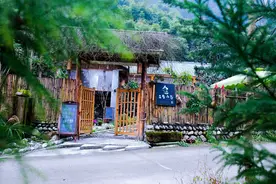 等风来 等花开图片