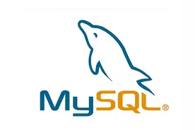 wamp查看MySQL密码 MySQL console输入密码闪退 重置mysql密码图片