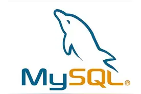 wamp查看MySQL密码 MySQL console输入密码闪退 重置mysql密码图片