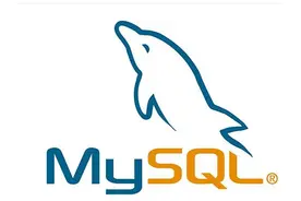 wamp查看MySQL密码 MySQL console输入密码闪退 重置mysql密码图片