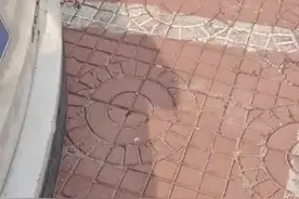 哭笑不得！河北一开锁师傅车子被锁瞬间懵圈：没看写开锁两字？图片