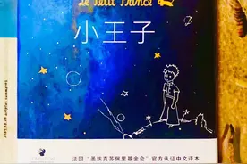 重读《小王子》：什么是爱？或许是听过最好的答案图片