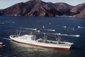 核动力商船为何没有发展起来？图片