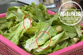 菜市场买的油麦菜，上面粘着“神秘”蓝色颗粒，还能吃吗？图片