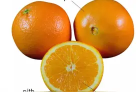“橘子”的英文竟然不是“orange”！感觉这么多年英语白学了图片