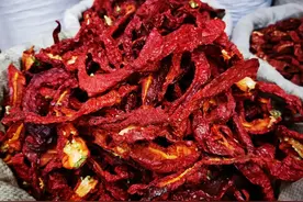 新疆干辣椒畅销全国的原因何在图片