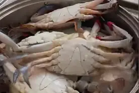 胃里长牙齿、祖先“四不像”......没看错，我说的是螃蟹图片