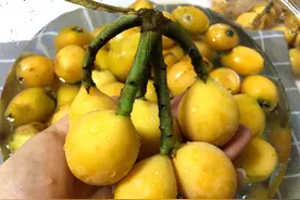 枇杷全身都是宝，吃不完别浪费，这么做放一年都不会坏图片