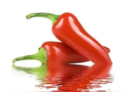 一分钟英语趣问答 80图片