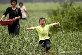 我的孔雀女老婆，是个“母老虎”，但我却乐在其中图片