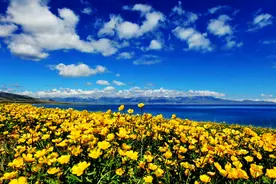 天山南北劲爆唱响《疫情过后》图片