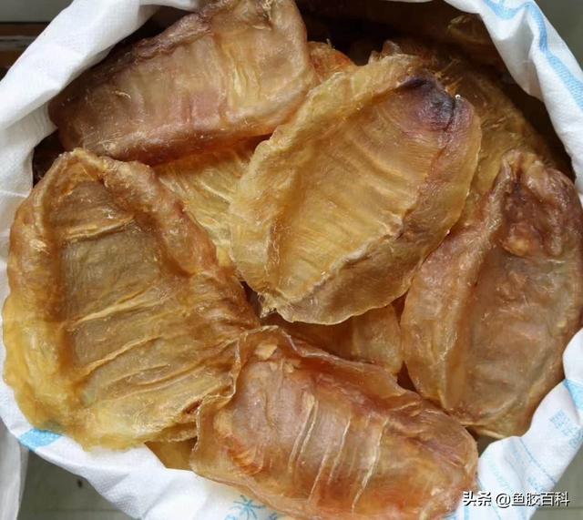 鱼胶可以冷冻吗 鱼胶可以冷冻吗怎么保存