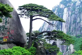 安徽制造业100强名单：35家营收超百亿，科大讯飞第34图片