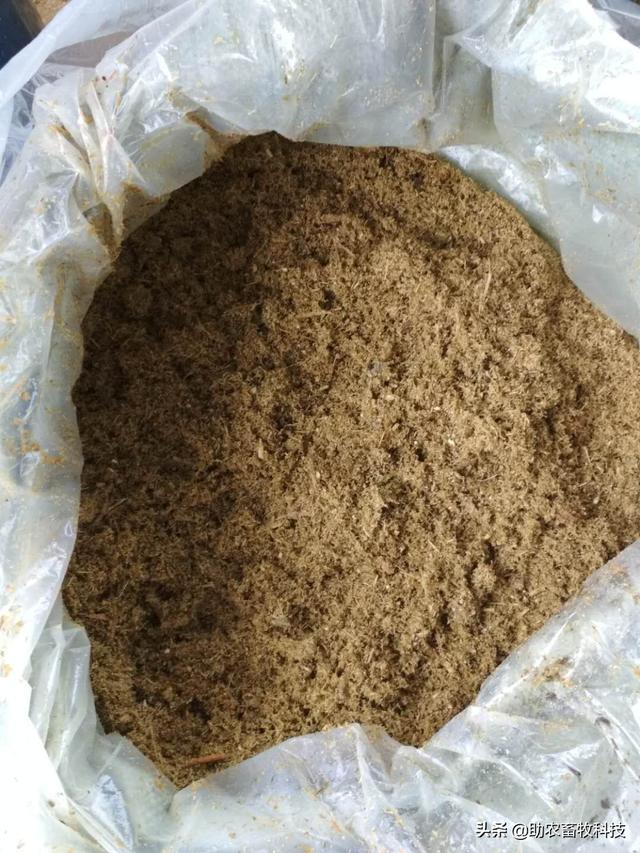 南方养猪种植什么牧草好？猪场为什么推荐种植牧草？