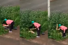 俄一对情侣草丛缠绵，被愤怒的邻居大妈用木板狠打严厉教育图片