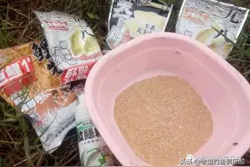 用老鬼饵料，喜获一尾大鲤图片
