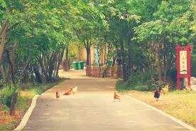 你有你的精彩，我有我的生活图片