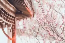 最好婚姻关系，不是门当户对和三观一致，而是适度的势均力敌！图片