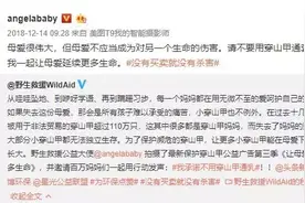 杨颖的公益广告初衷很好，但有一个关键错误图片