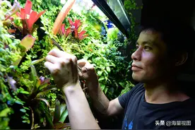 我业余时间在家中做水草造景，11年玩出名气，全部由我亲手打造图片