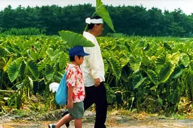 《菊次郎的夏天》| 以儿童的名义，治愈孤独的大男孩图片
