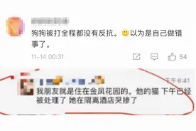 “隔离宠物狗被扑杀”，别拿别人的宠物当畜生图片