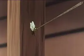 《聪明的一休》中新佑卫门的武艺有多高强图片