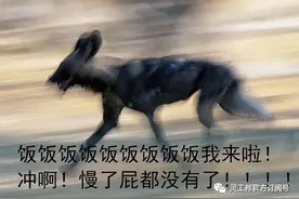 炸锅了，网传美团今年应届生年薪 35w+，薪资倒挂将成趋势？图片