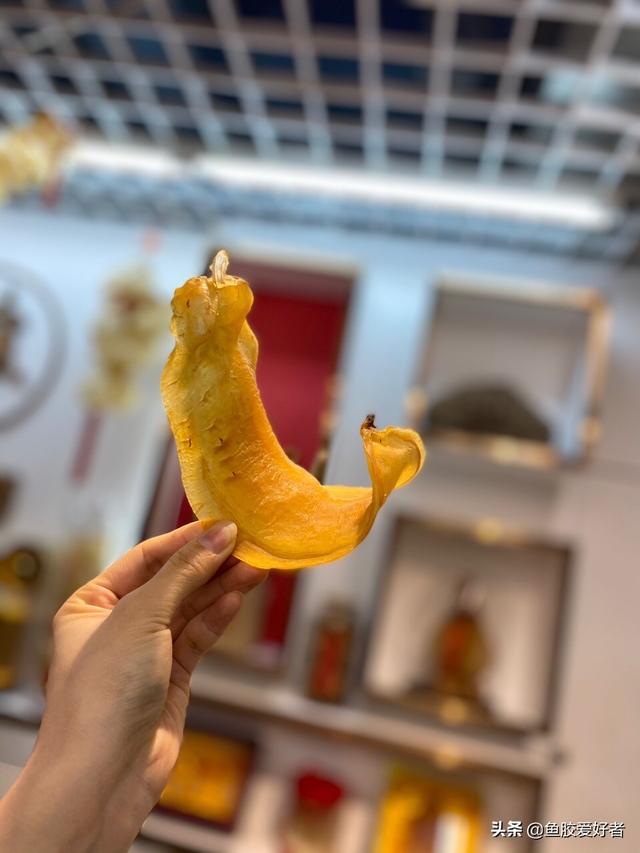 小土赤嘴鳘鱼胶 小赤嘴鳘鱼胶的功效