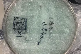 玻璃锅盖偶发爆裂现象难避免 行业标准缺失困扰消费者图片