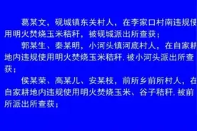 忻州警方公布24起案件，28人被抓！图片