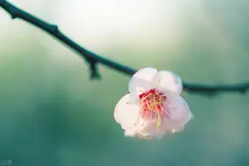 好久不见的人，也许不必再见了图片