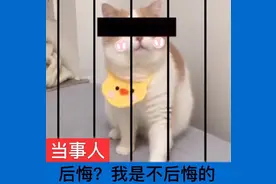 广西各地公务员年终绩效揭秘，太酸了图片