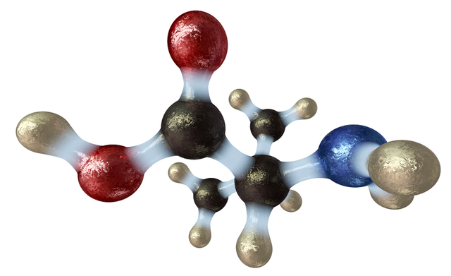 氨基酸的分离鉴定——纸层析法