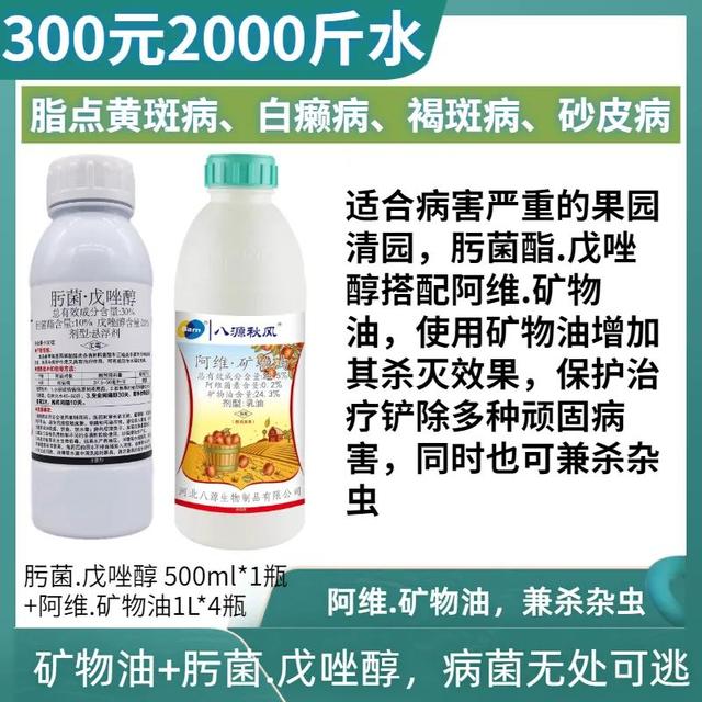 开年就连续寒潮，今年预计虫害较少，病害较多，尤其是沙皮病