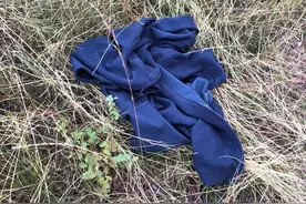 半夜怪叫、不知名生物，推特网友记录下了诡异的林中小屋图片