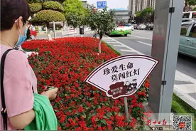 珍爱生命，莫闯红灯！荆州城区新增一批“温馨”标语牌图片