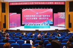 云南首家！大理州非物质文化遗产保护协会成立图片