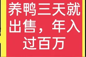 鸭苗养殖三天就能出售？湖南一农民养殖雏鸭，带领村民一起致富图片