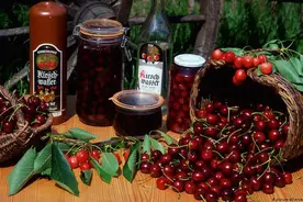 樱桃酒不得不说的那些事图片