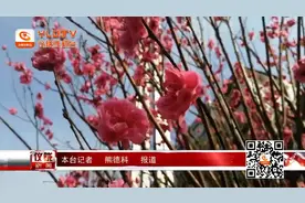 “疑有碧桃千树花”仪陇百余碧桃竟相开放 灼灼其华视频封面