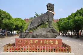 浦东新区一个小镇，内有5A级景区，距离上海市中心仅35公里图片