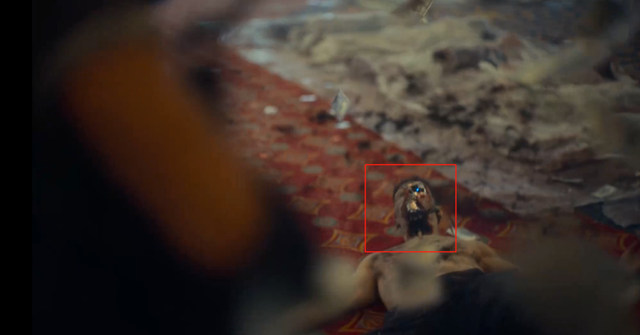 9.0变5.3，粉圈别再祸害他吧