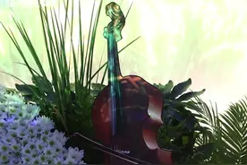 看哭了！袁隆平安葬仪式上这些细节打动人心（视频）图片