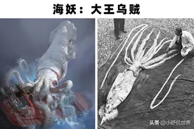 被证明可能拥有真实原型的7个神奇的生物图片