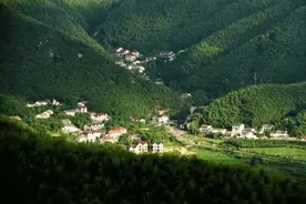 乡村文旅小镇的榜样！莫干山如何将单打独斗的民宿做成产业集群？图片
