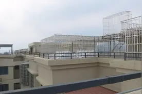 业主买房不住却用来搞乌龟养殖！臭味冲天，邻居受不了…图片