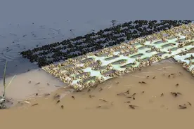 美蛙养殖技术图片